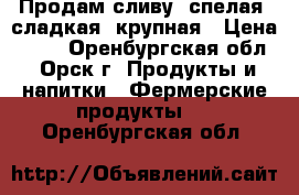 Продам сливу: спелая, сладкая, крупная › Цена ­ 30 - Оренбургская обл., Орск г. Продукты и напитки » Фермерские продукты   . Оренбургская обл.